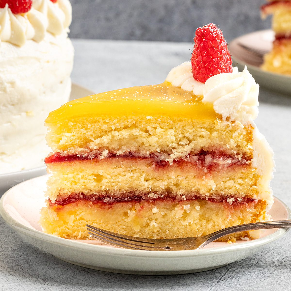 Lemon Raspberry Cake Tohd24 31722 Erickleinberg 10