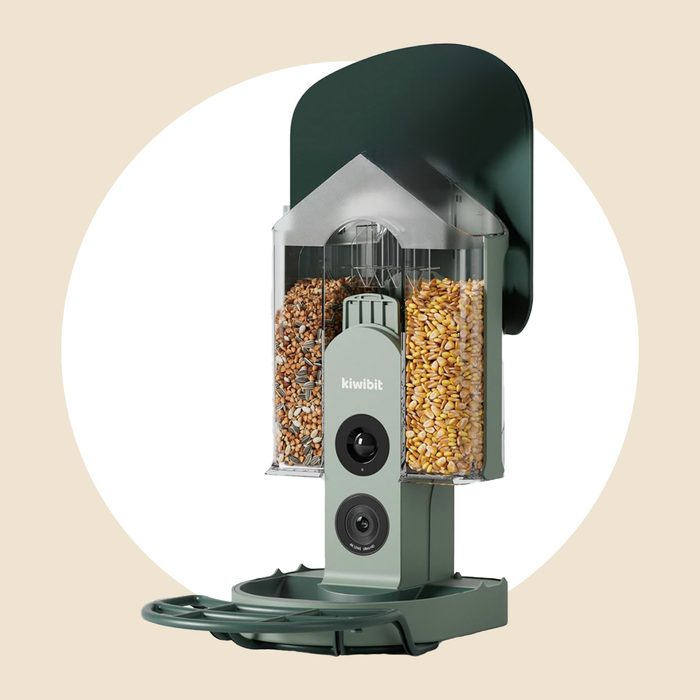 Beako Smart Bird Feeder