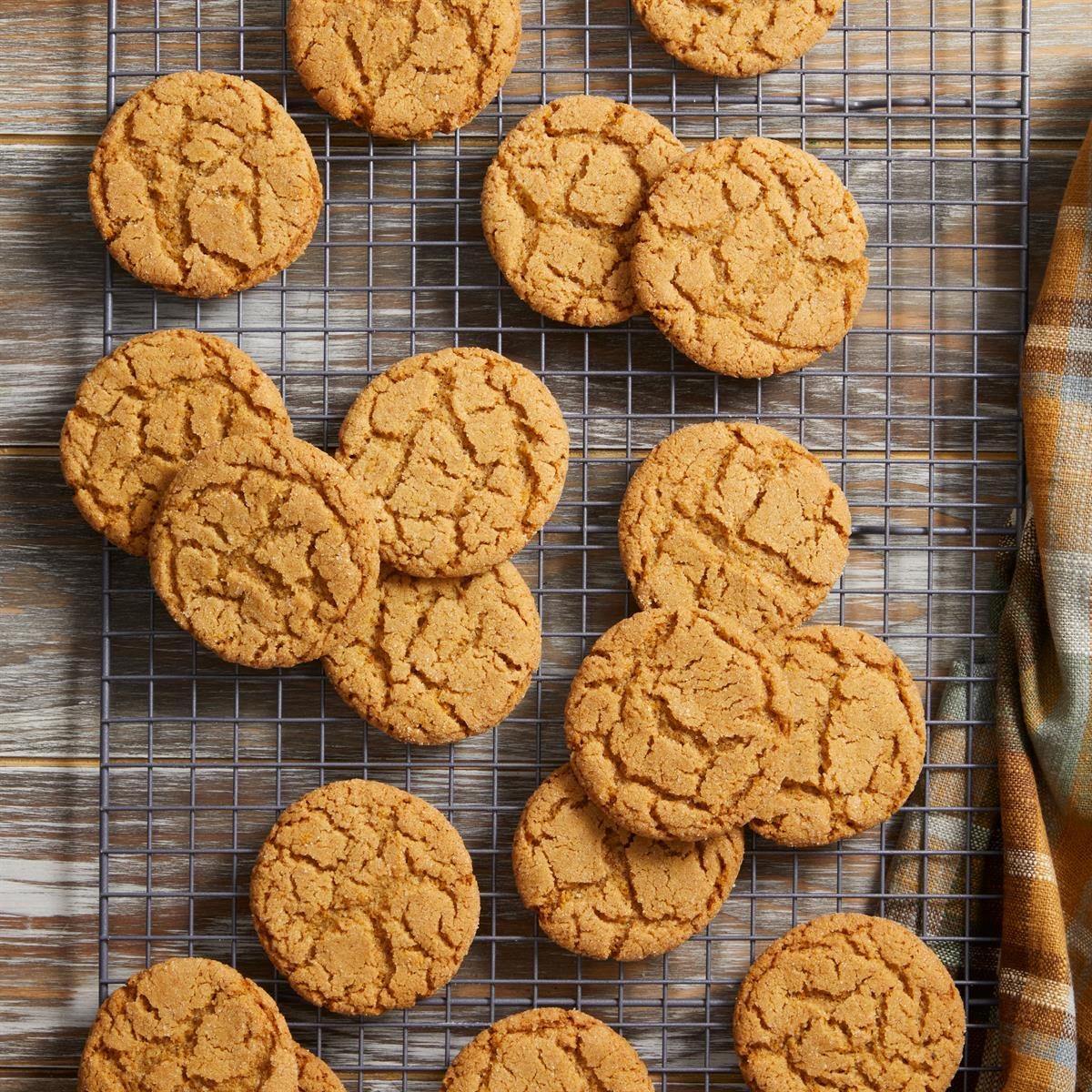 Cinnamon Crinkle Cookies