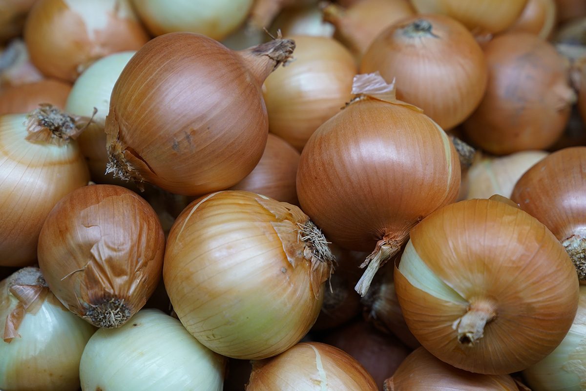 Julia Childs Depression Era Hack Gettyimages 1211818688