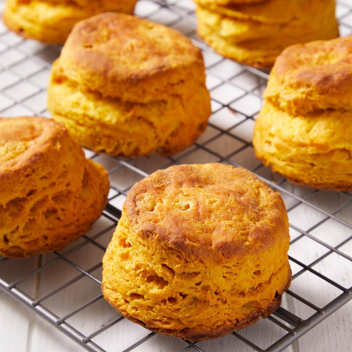 Pumpkin Patch Biscuits Exps Ft25 41169 Jr 1016 7