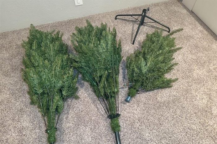 Toha25 King Of Christmas Yorkshire Fir Mary Henn 02 Ssedit