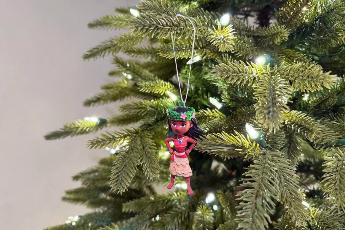 Toha25 Silverado Slim Tree Mary Henn 01 Ssedit