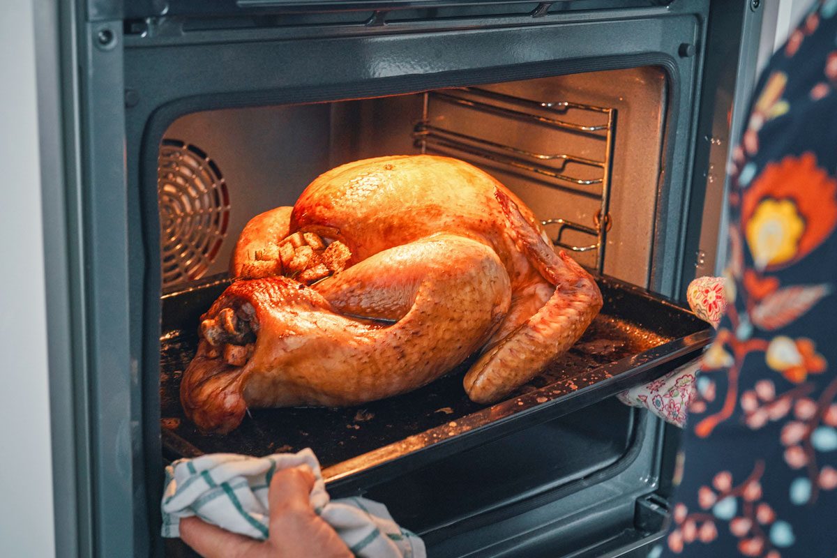 stuffed turkey for thanksgiving being taken out of the oven