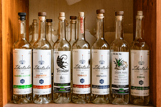 Mezcal collection bottles at El Sabino distiller