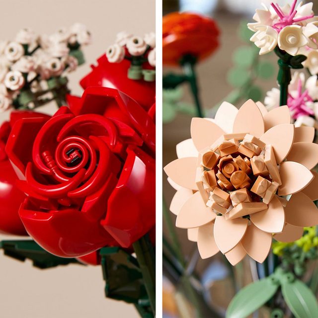 Red And Pink Flowers Closeup
