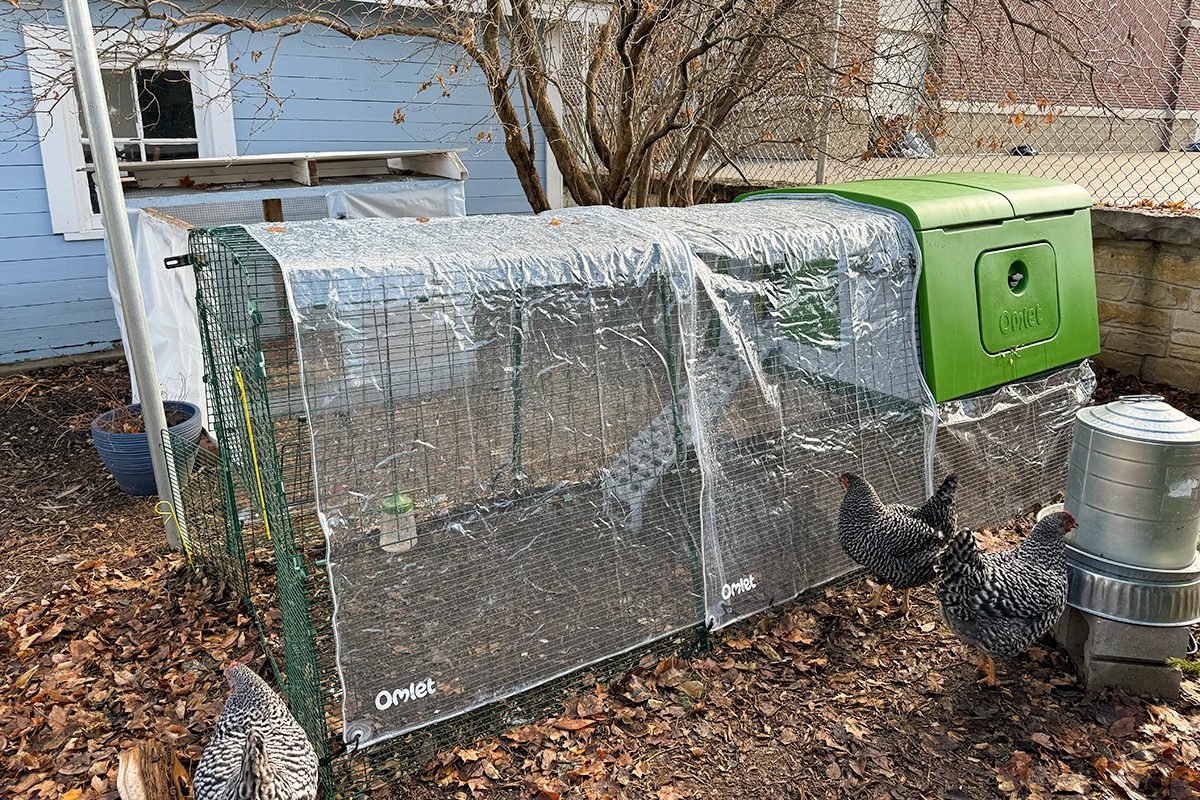 Toha25 Eglu Cube Lara Eucalano 05 Ssedit