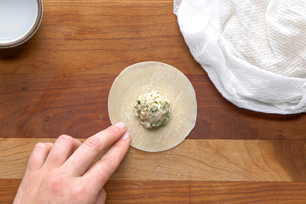 chicken mixture in the centre of a gyoza wrapper
