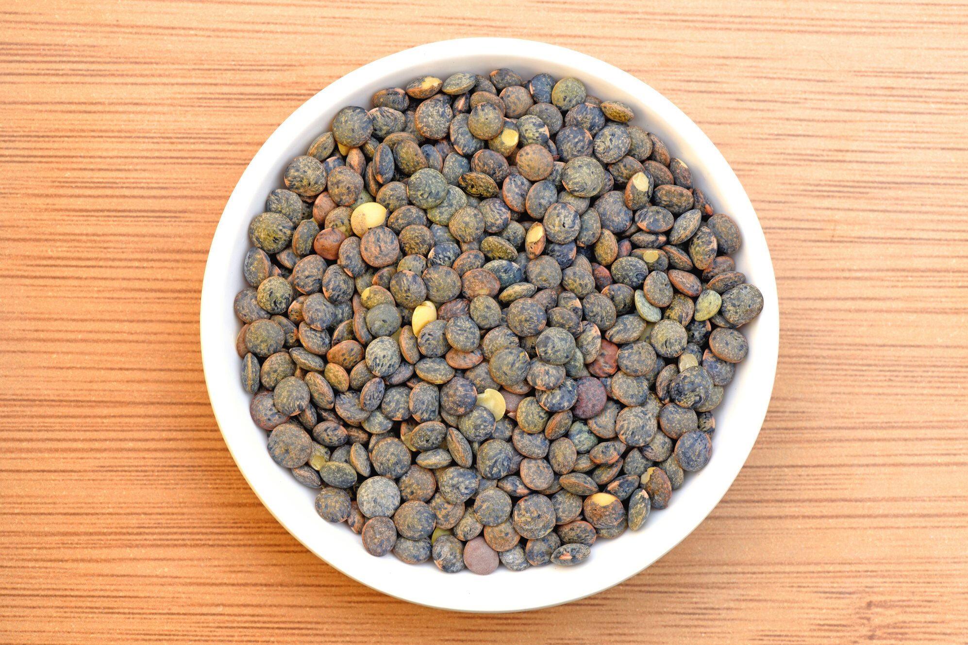 Lentille Lentil Linse Thit u Lens culinaris