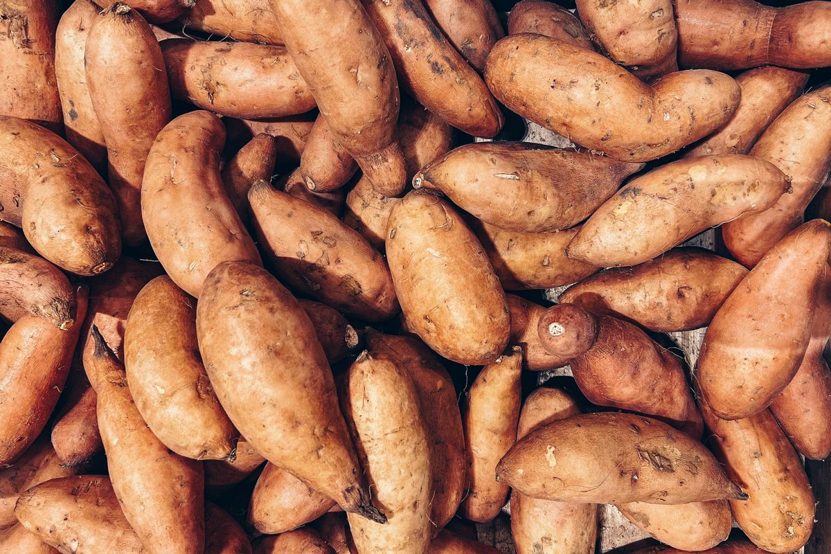 Sweet Potatoes